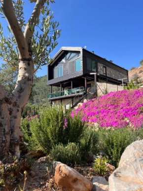 Casa AYAZ - Unique Design Villa in Vineyards and Olive Groves